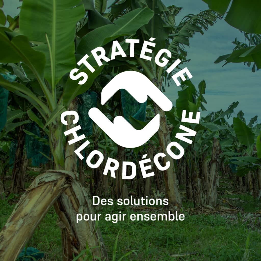 Stratégie Chlordécone</br> <a style="font-size: 12px; color: white;">Préfecture de Guadeloupe</a>