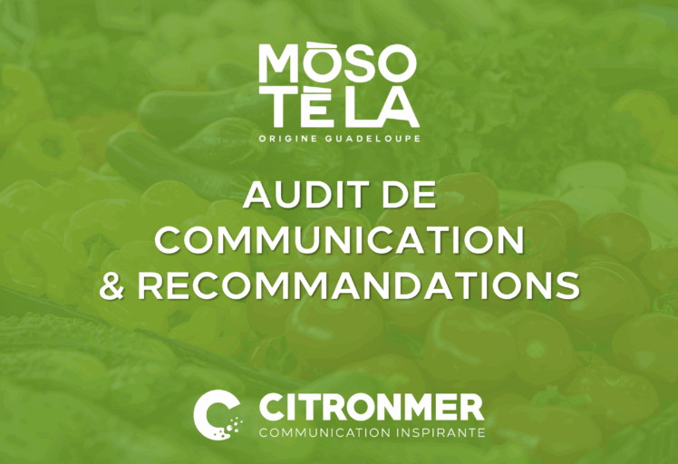 Présentation audit Moso Tè La (glissés)