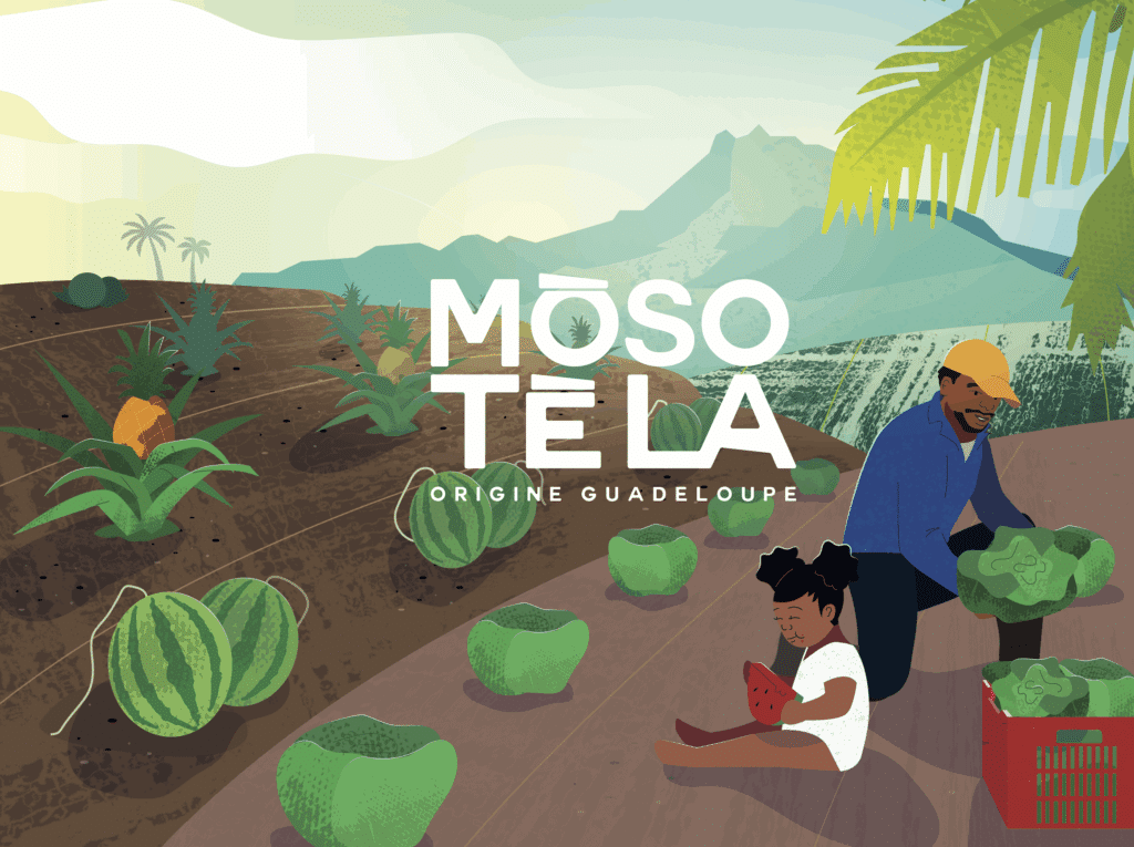 Mòso Tè La</br> <a style="font-size: 12px; color: white;">IGUAFLHOR</a>