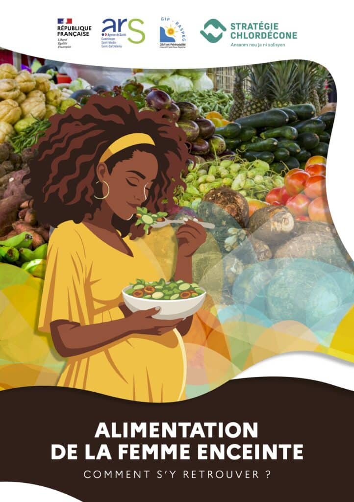 ALIMENTATION FE_VF